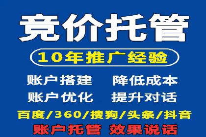 某电商平台信息流广告的精准推广策略